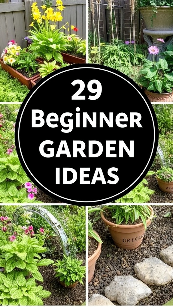 4. Meet the Easiest Way to Add Charm with Potted Pathways
