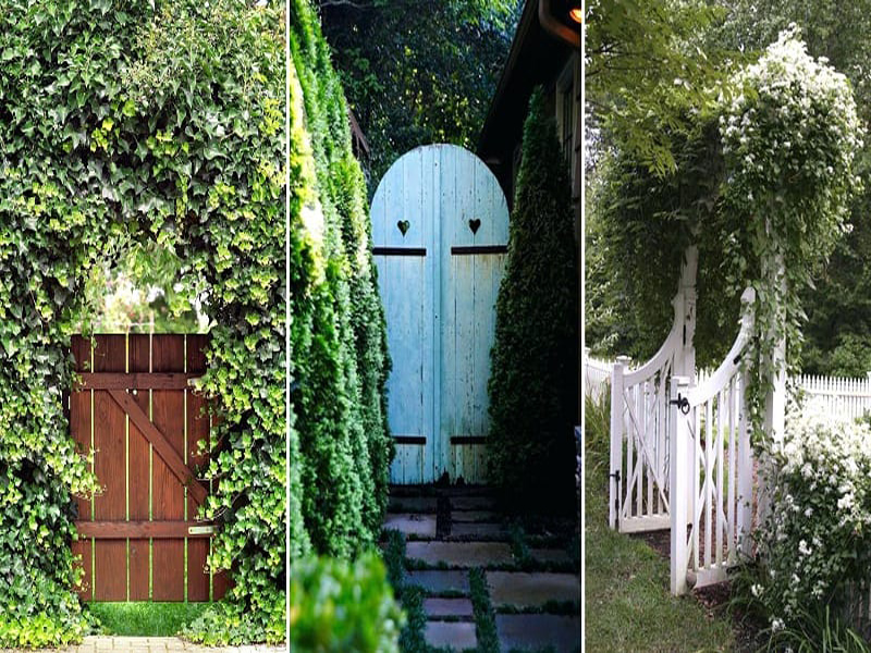 10 Beautiful Garden Gate Designs With Photos In India 10 Beautiful Garden Gate Designs With Photos In India