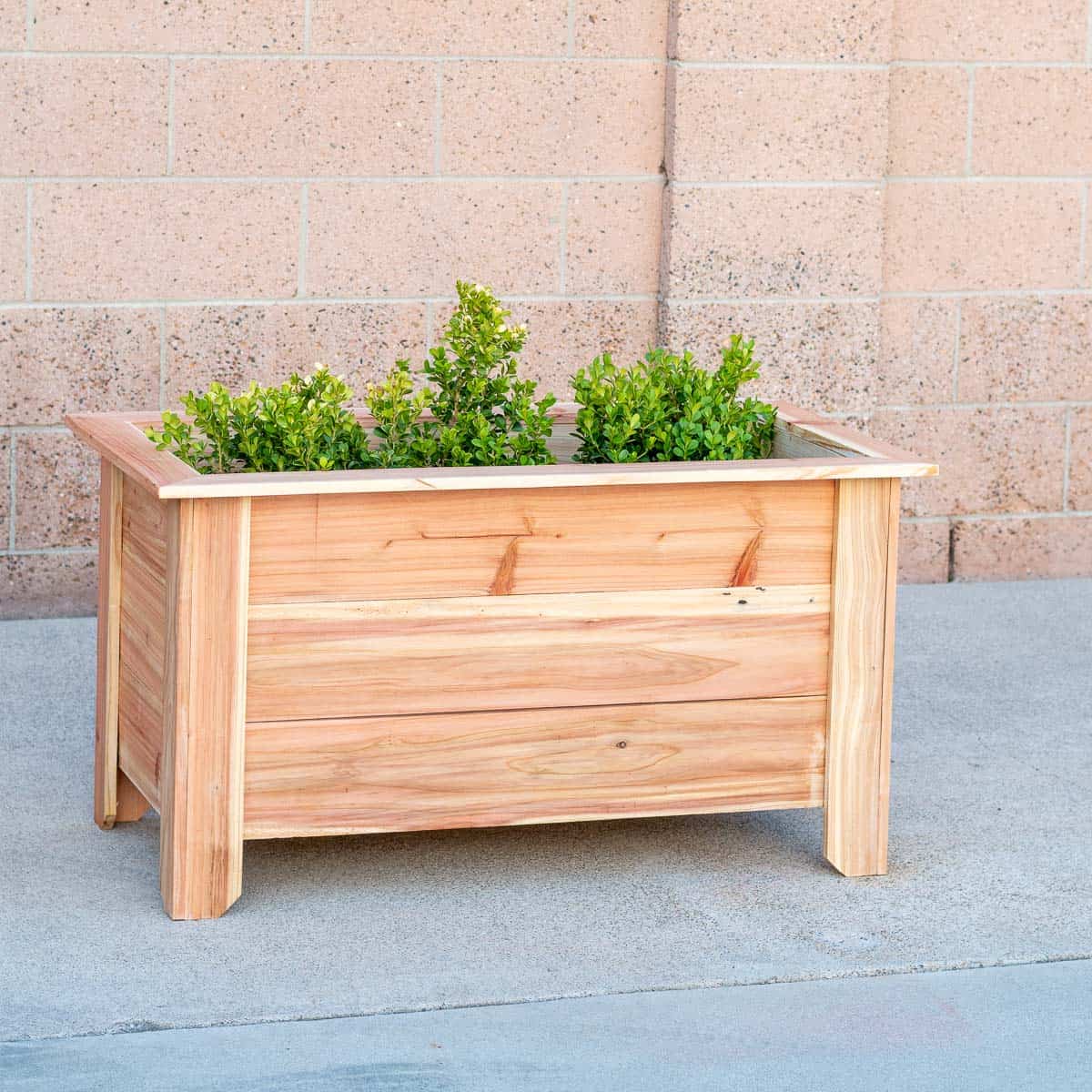 How to Build a DIY Cedar Raised Planter Box