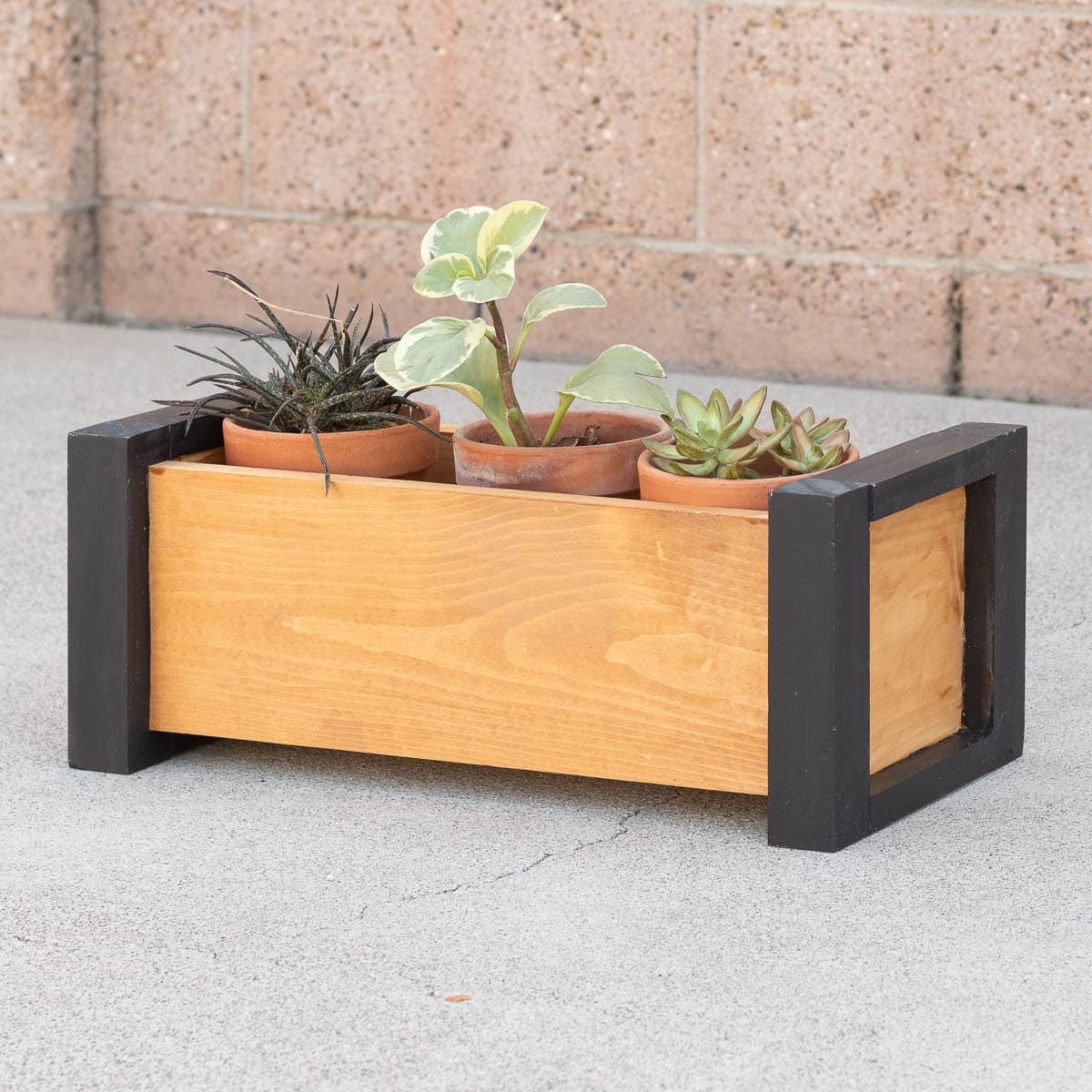 How to Build a DIY Modern Tabletop Planter