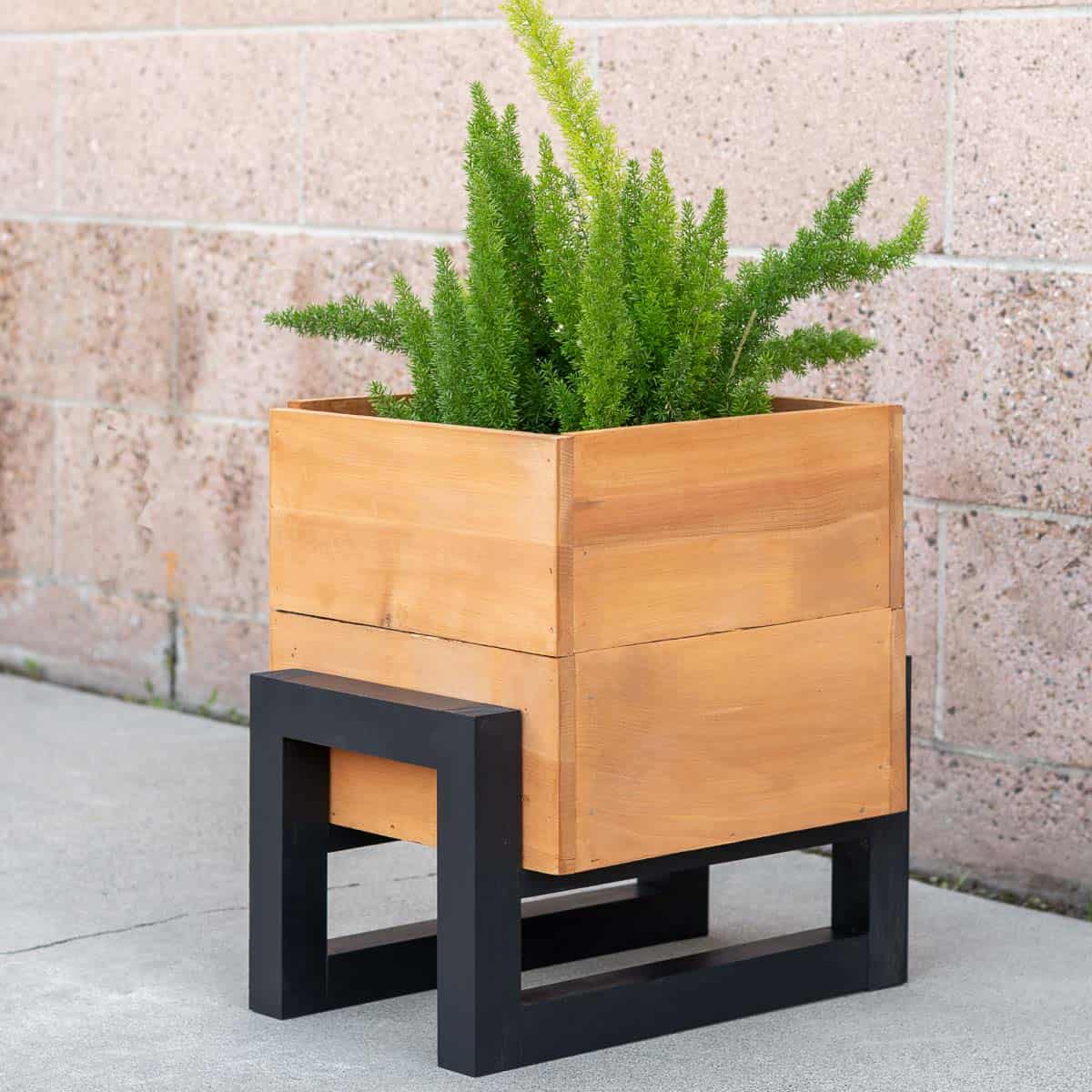How to Build a DIY Modern Planter Box How to Build a DIY Modern Planter Box