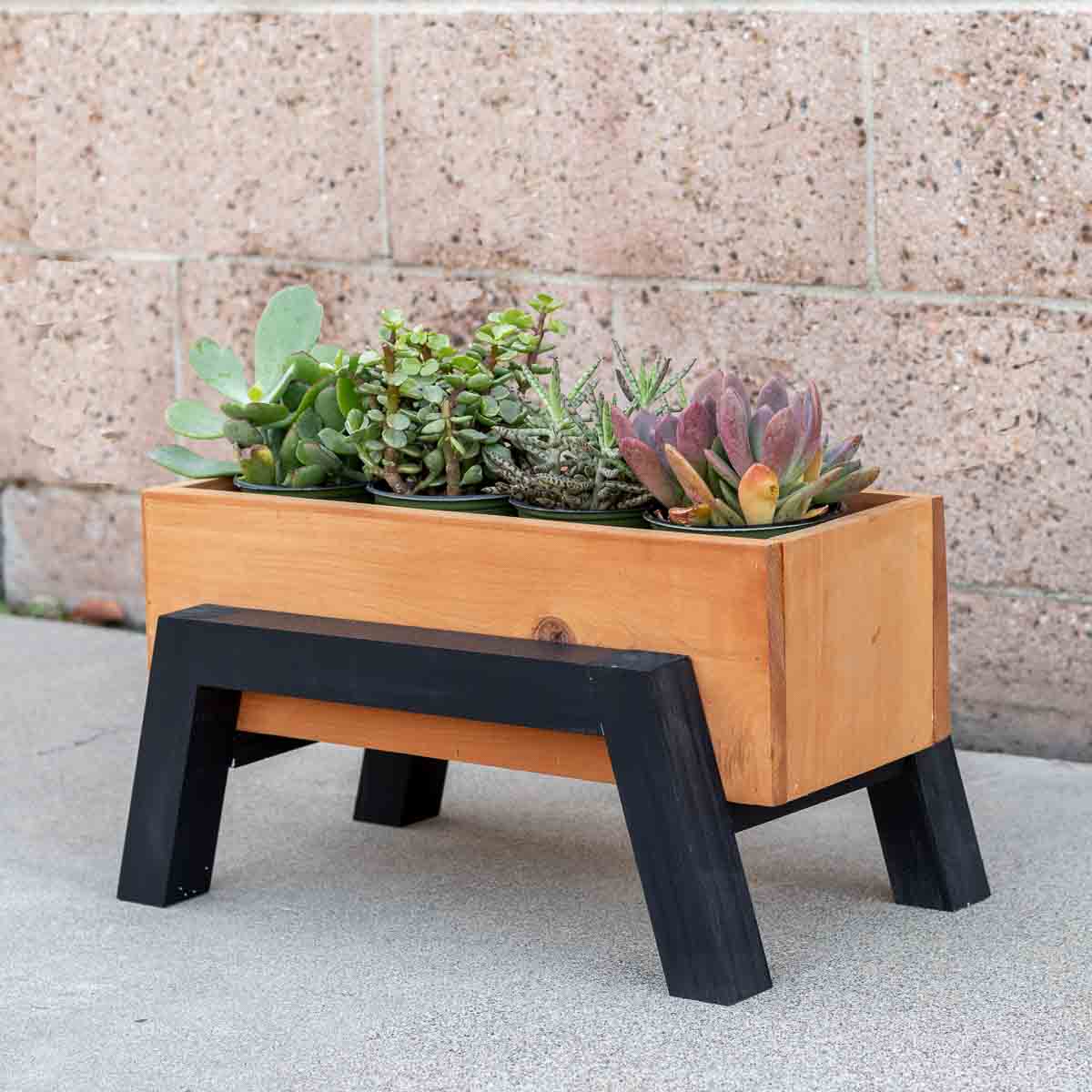 How to Build a Modern DIY Small Wood Planter How to Build a Modern DIY Small Wood Planter