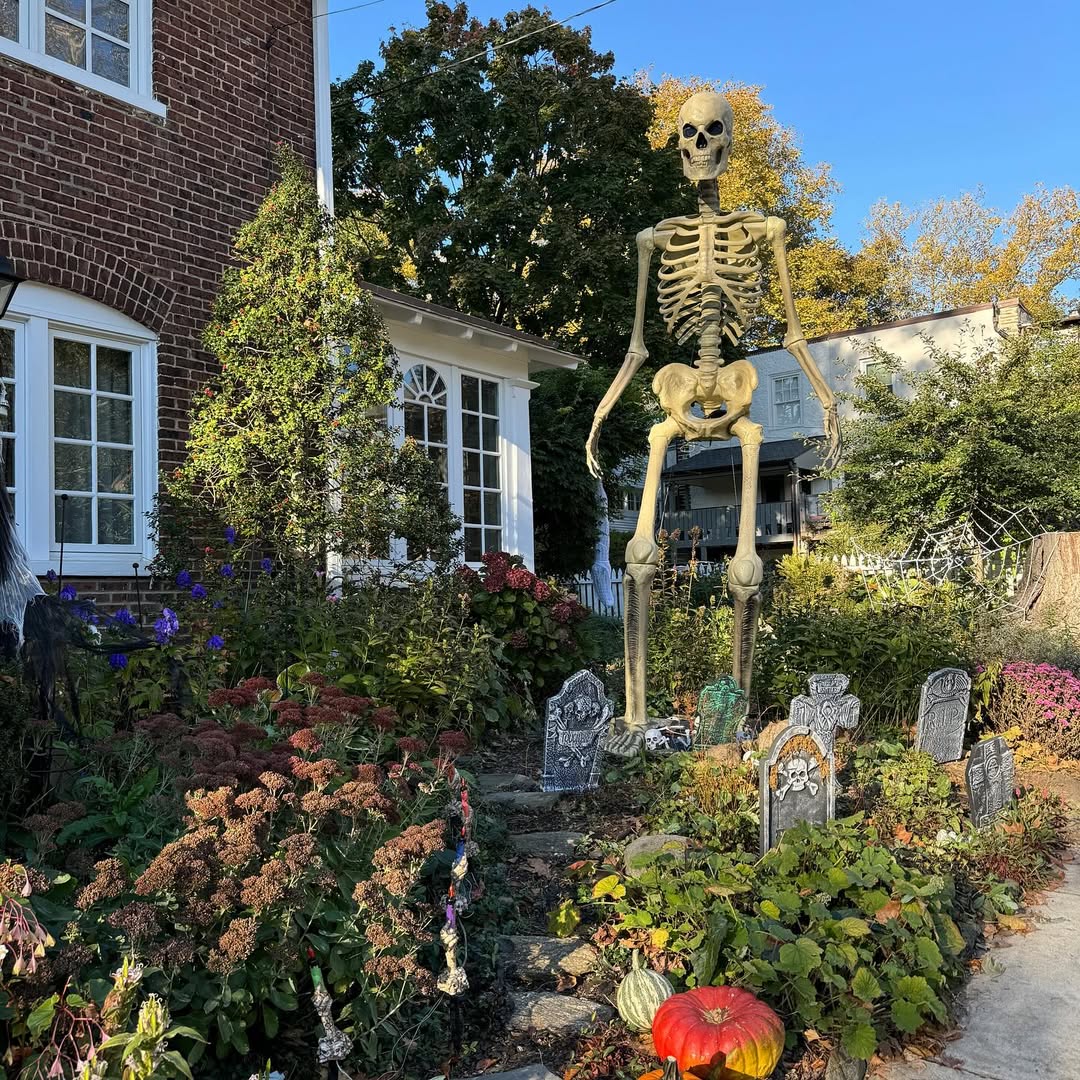 27 Halloween Outdoor Skeleton Decor Ideas That Go Way Beyond “Just Bones”