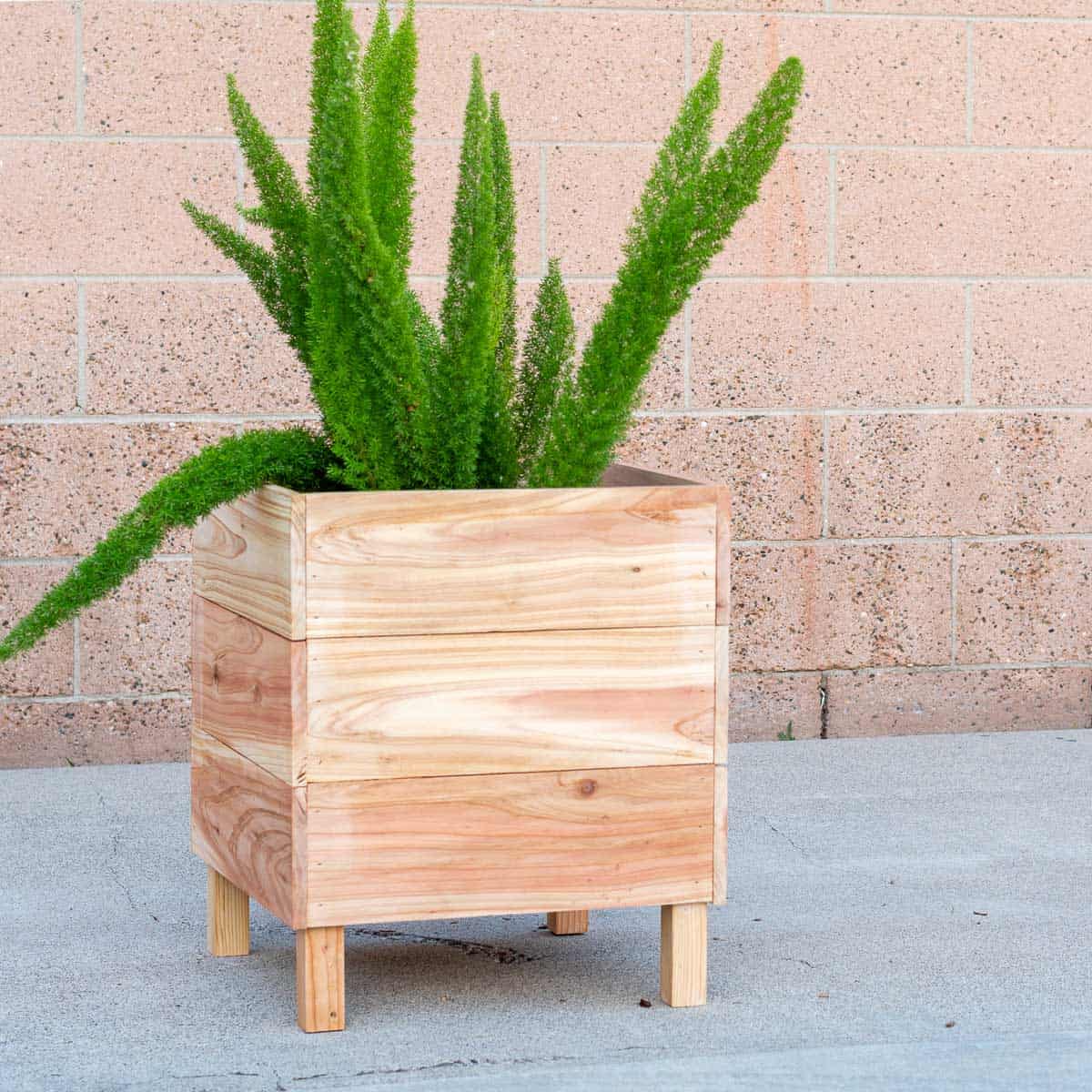 How to Build an Easy DIY Square Cedar Planter Box (No Table Saw Required!)