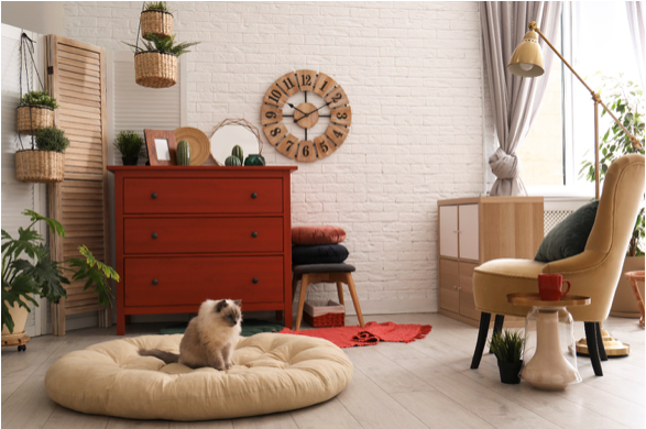 How to Create Amazing Interior for a Pet in the Apartment