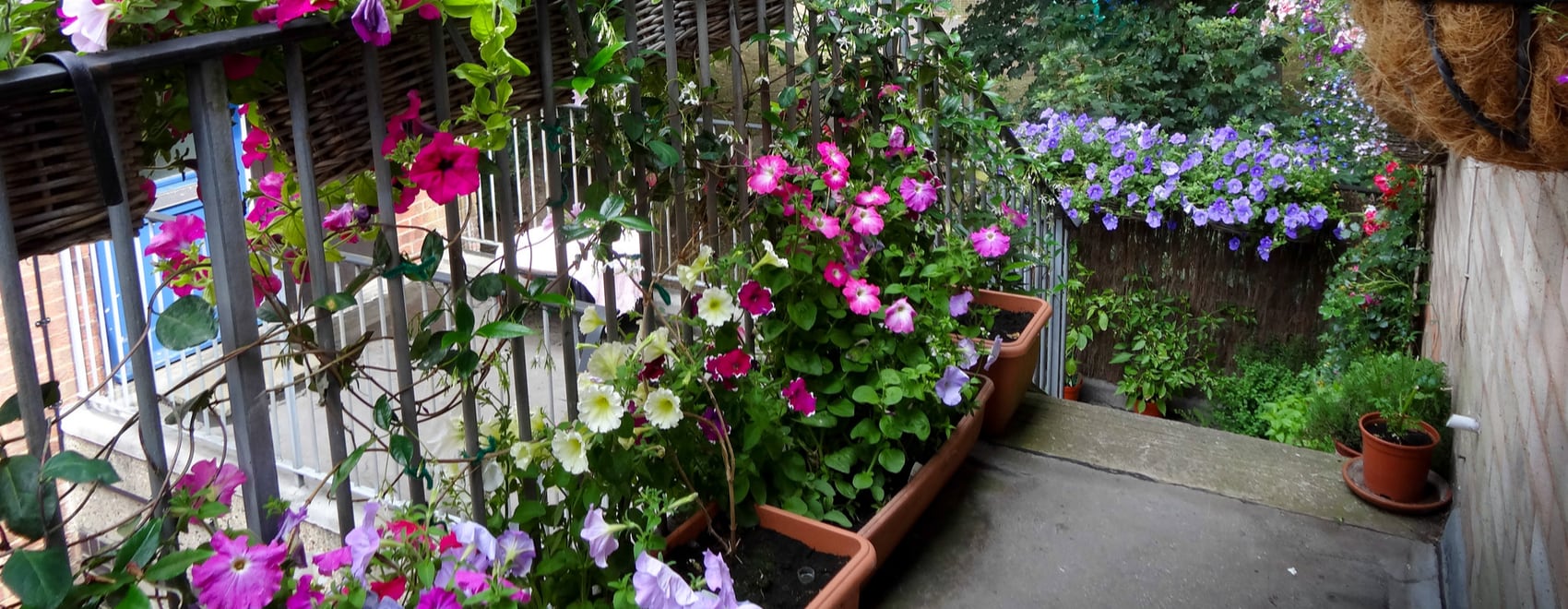 33 Great Balcony Garden Ideas with a DIY Balcony Guide