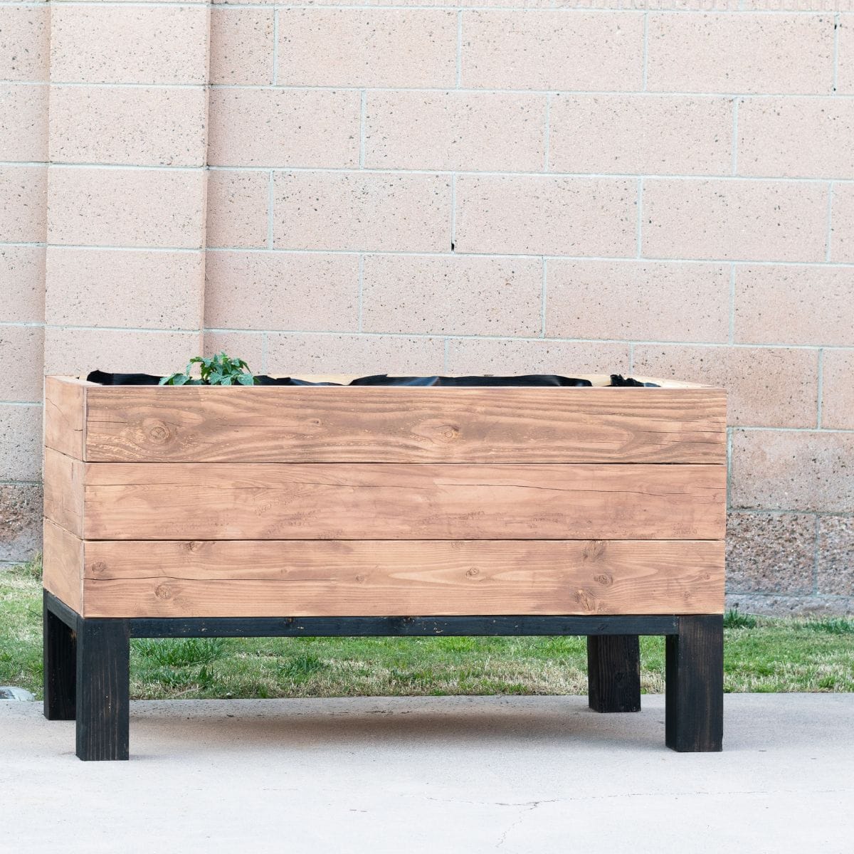 DIY Self Watering Planter DIY Self Watering Planter