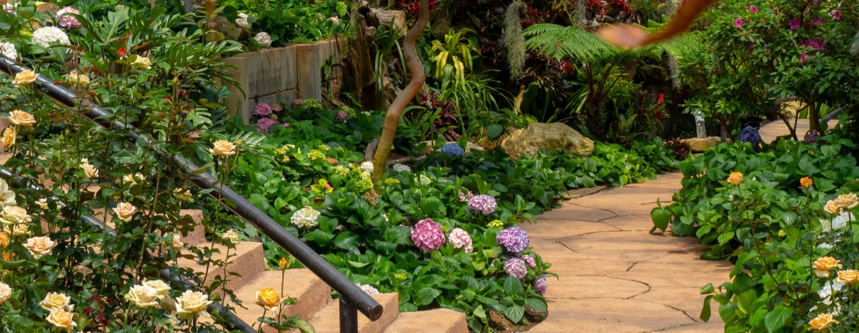 21 Magical Secret Garden Designs for Your Perfect Getaway