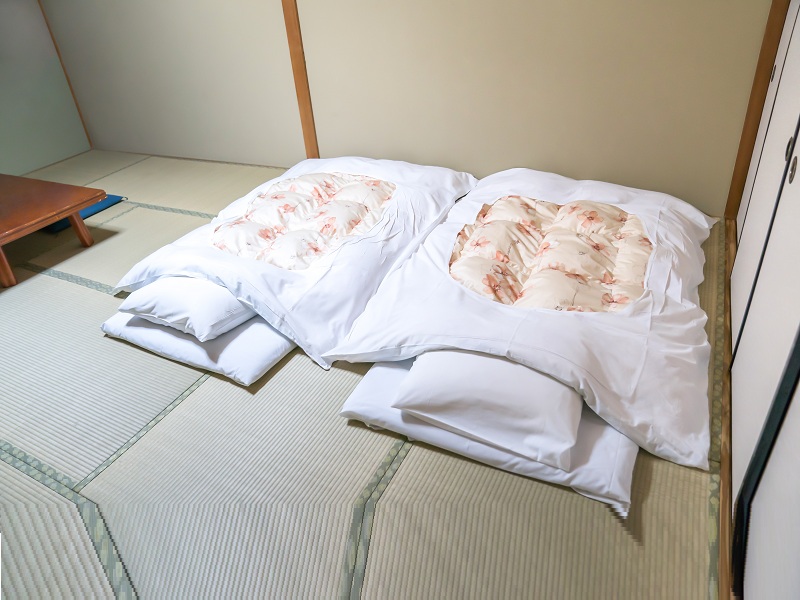 10 Simple & Cool Futon Bed Designs With Photos