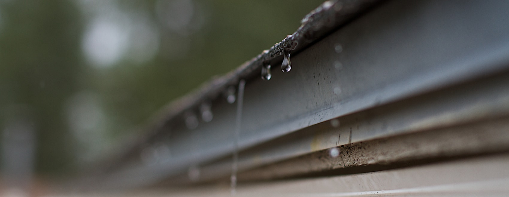 Rain Water Harvesting Definitive Guide & How to Get Started