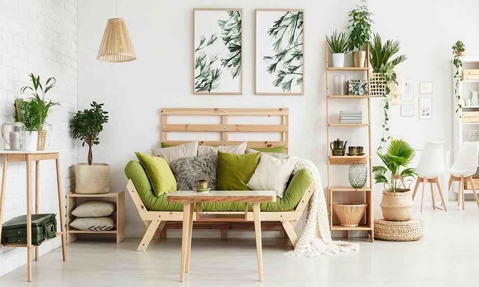 Stylish Indoor Hanging Plants For Your Home