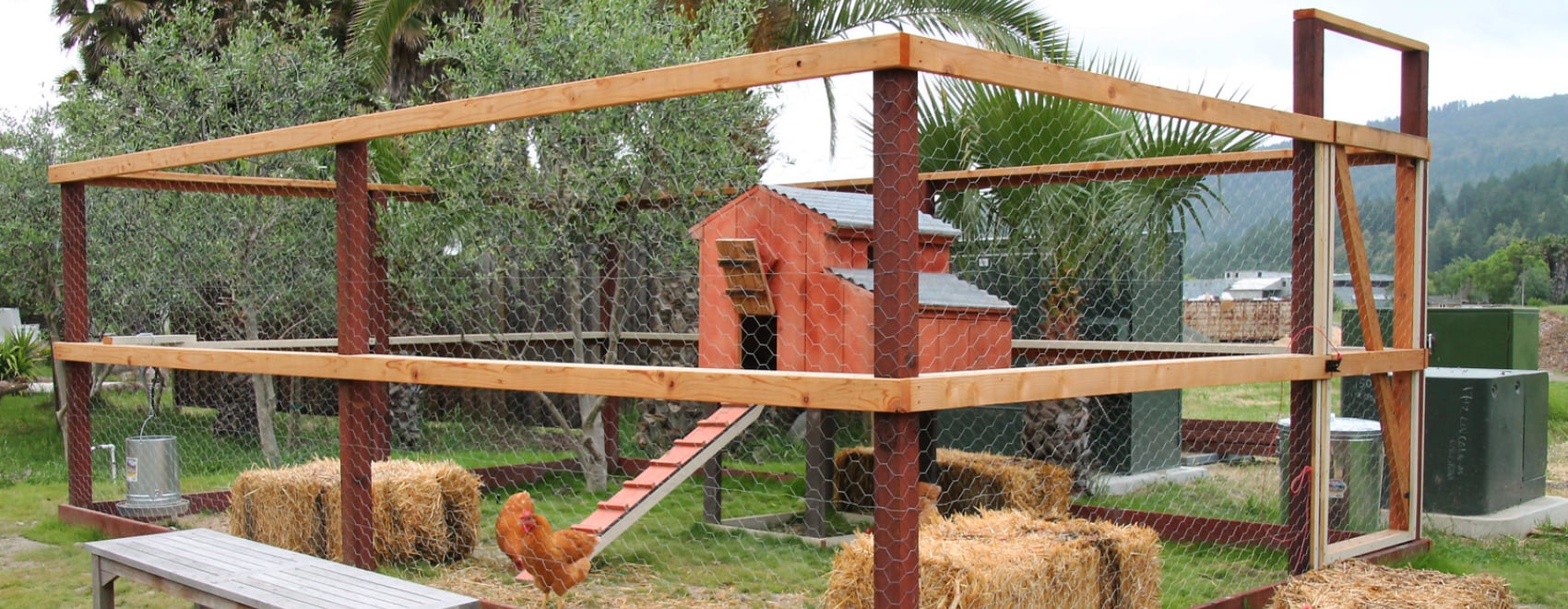 The Definitive Chicken Coop Guide for Growing Happy Chickens DIY Style