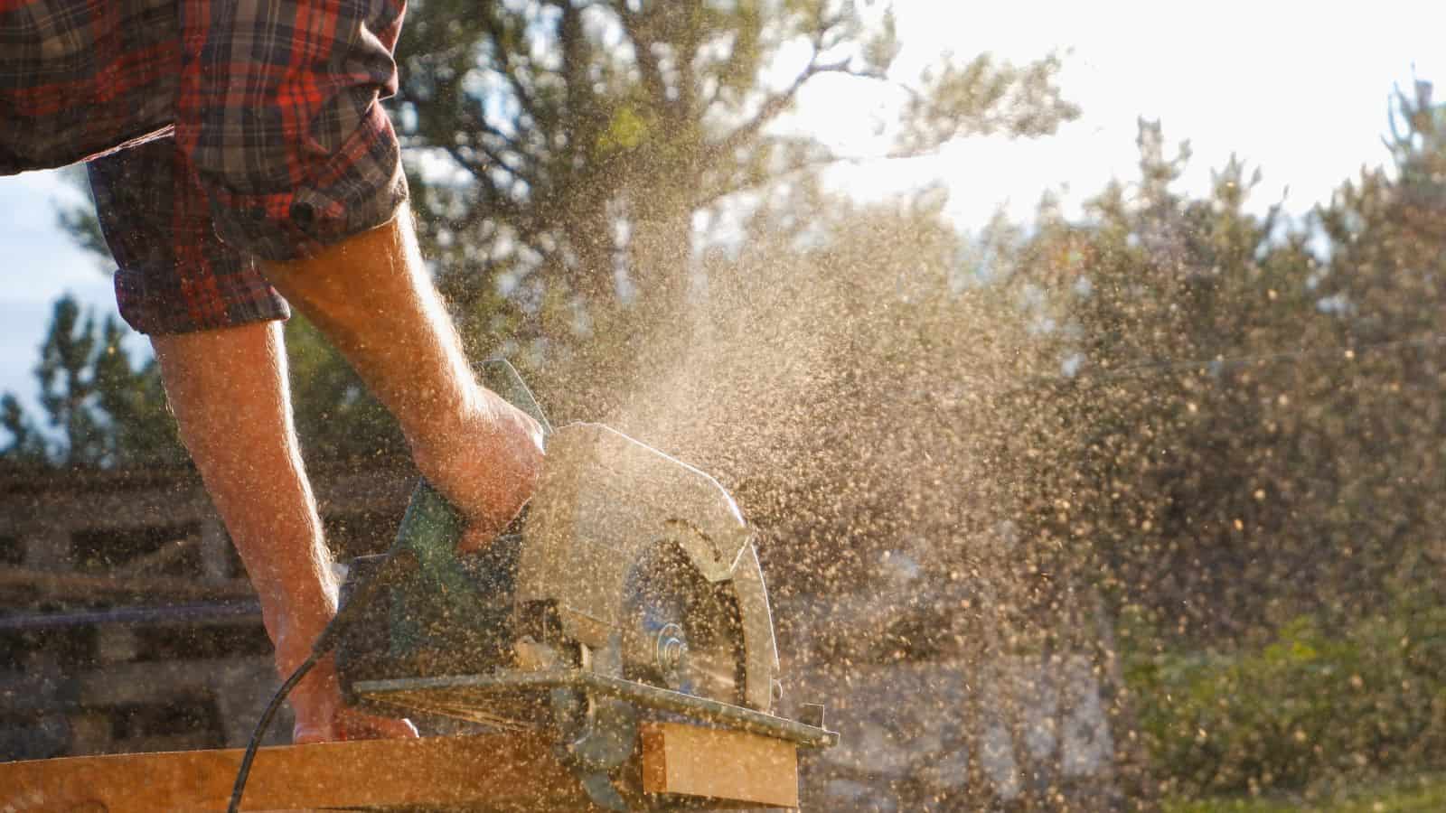 10 Clever Uses for Sawdust That You Probably Didnโt Know 10 Clever Uses for Sawdust That You Probably Didnโt Know