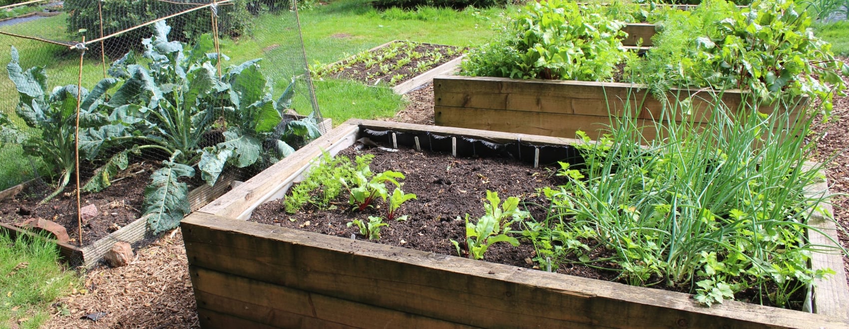 Raised Garden Bed Guide: 15 Easy Design Ideas & DIY Plans