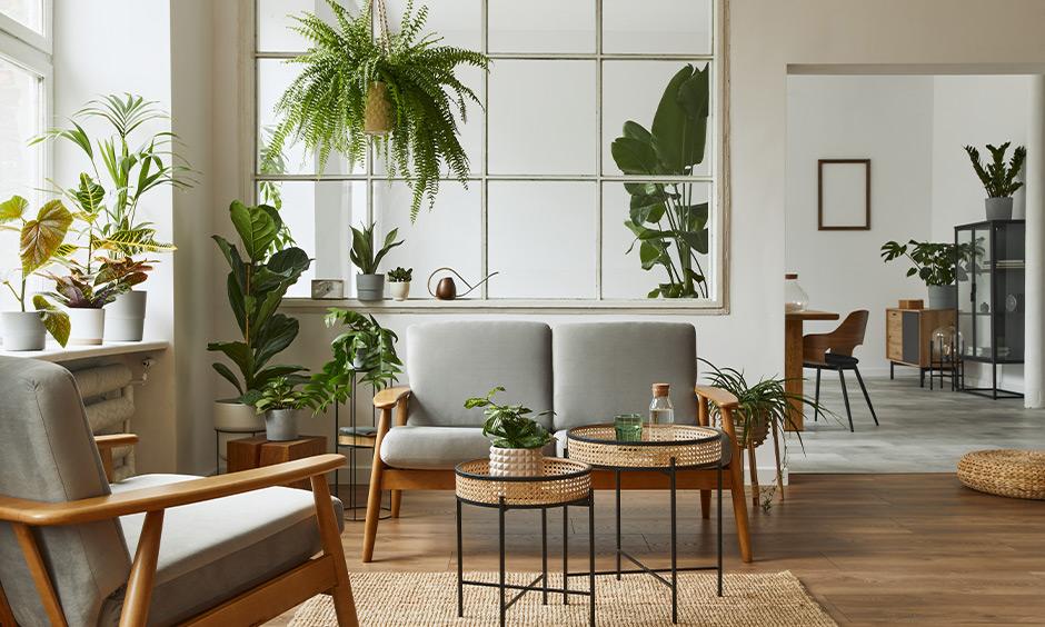 Expert-Approved Rental House Decorating Ideas to Glam up Your Home