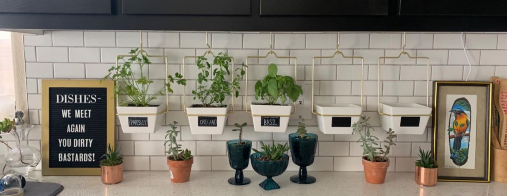 45 Wonderful Wall Planter Ideas for Creative DIY Gardeners